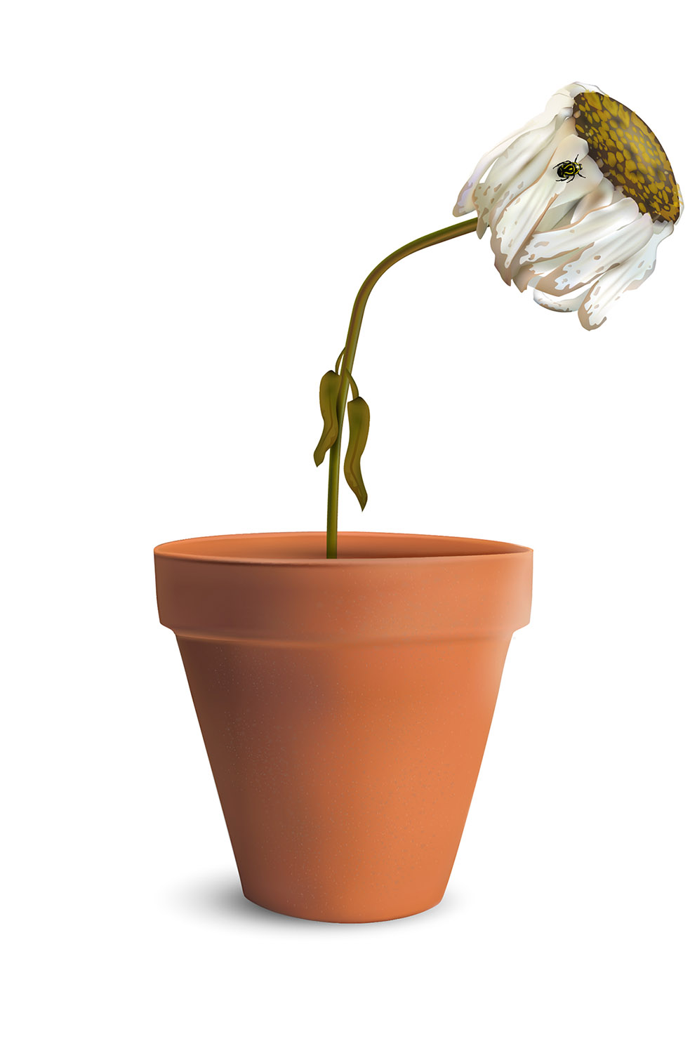 Vector Design by Robert R. for this project | Design #2256345
