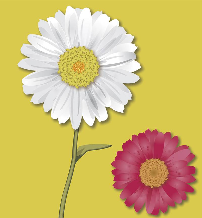 Vector Design by MB design for this project | Design #2094372