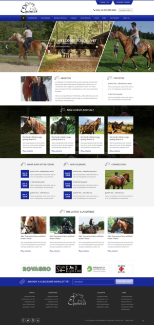 Web Design by pb for Neurom | Design: #9588483