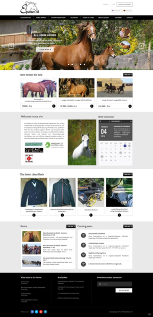 Web Design by pb for Neurom | Design: #9602807