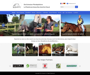 Web Design by Sbss for Neurom | Design: #11452705