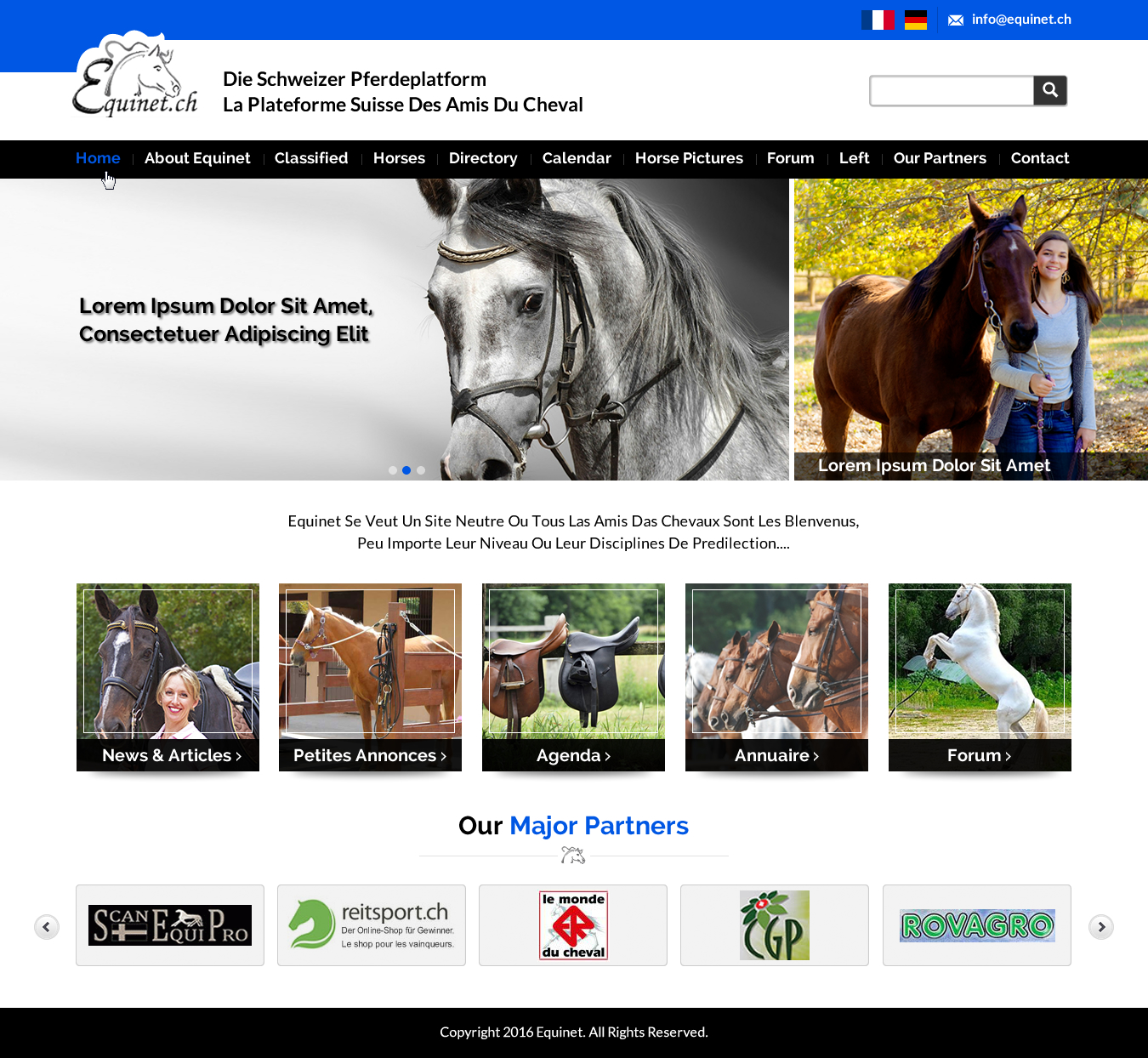 Web Design by Sbss for Neurom | Design #11458757