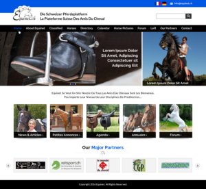 Web Design by Sbss for Neurom | Design: #11458758