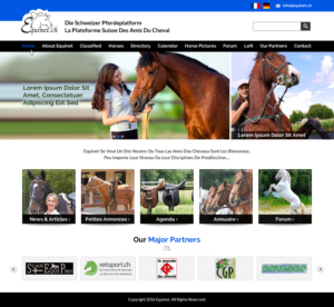 Web Design by Sbss for Neurom | Design: #11458759