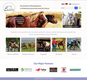 Web Design by Sbss for Neurom | Design: #11462316