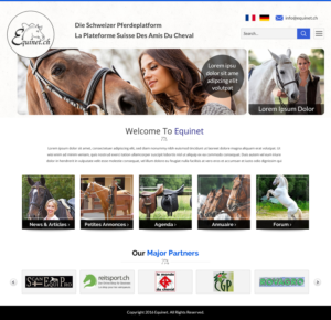 Web Design by Sbss for Neurom | Design: #11463023