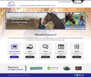 Web Design by Sbss for Neurom | Design: #11483159