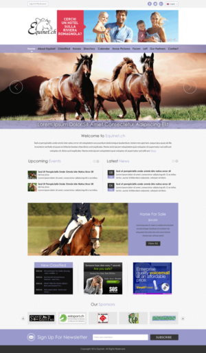 Web Design by Sbss for Neurom | Design: #9754460