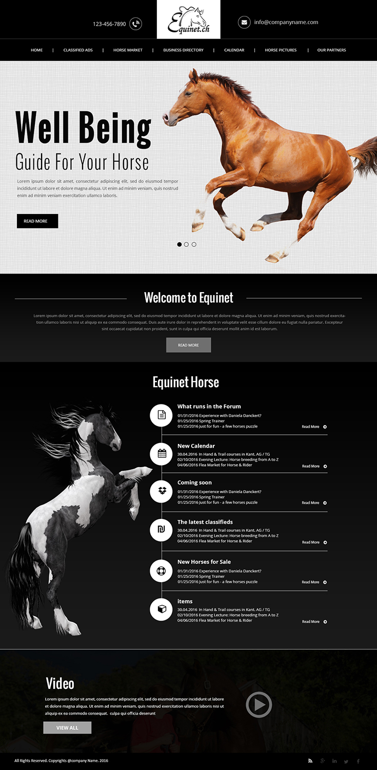 Web Design by Creations Box 2015 for Neurom | Design #9604254