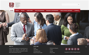 Wordpress Website for Emergency Department Violence Intervention Program
