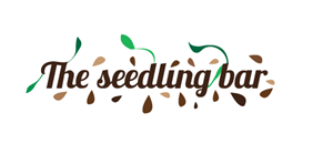 Logo Design by Grace