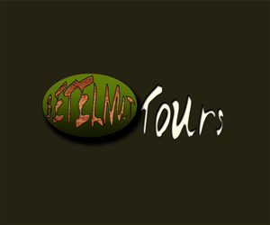 Diseño de Logo por yani rj. para Betelnut Tours | Diseño: #2130970