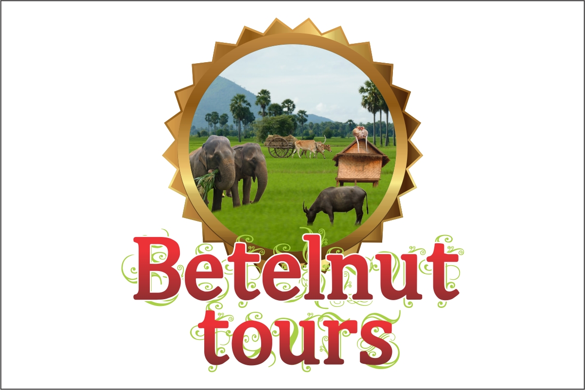 Design de Logo par Robert Macwan pour Betelnut Tours | Design #2118102