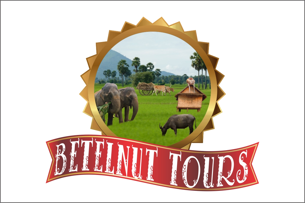 Diseño de Logo por Robert Macwan para Betelnut Tours | Diseño #2118103