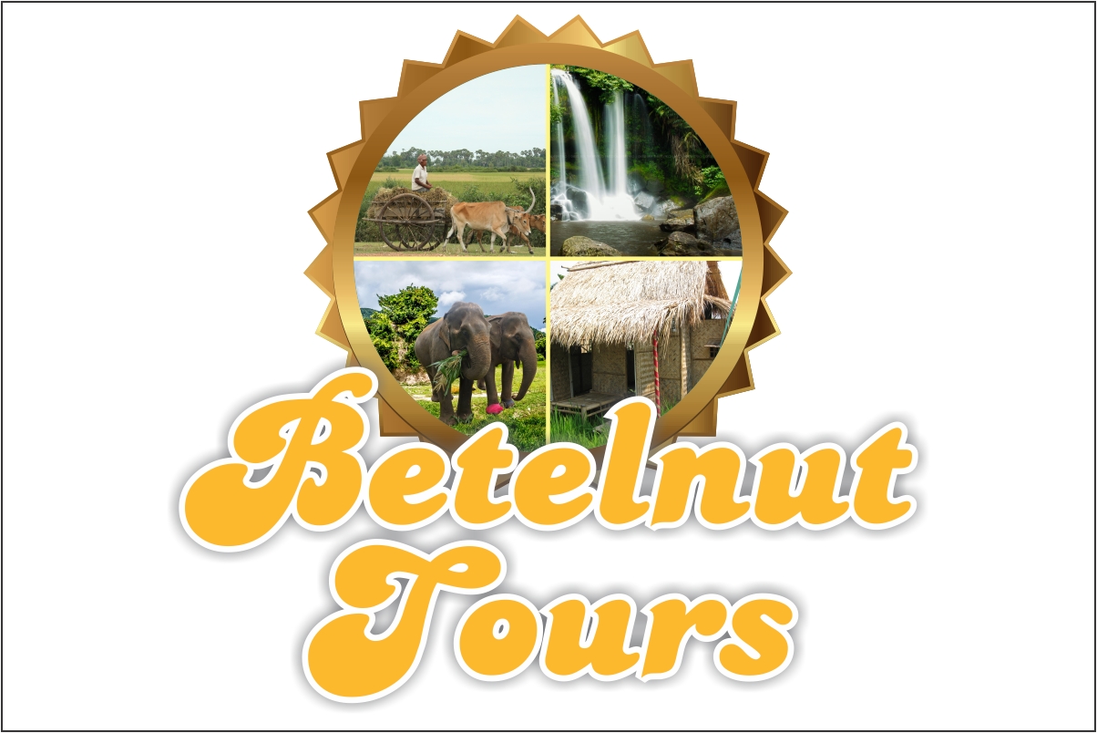 Diseño de Logo por Robert Macwan para Betelnut Tours | Diseño #2118279
