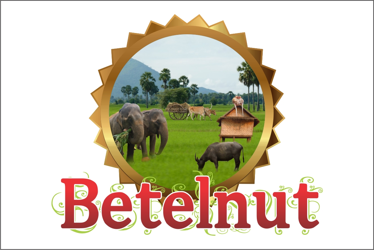 Logo-Design von Robert Macwan für Betelnut Tours | Design #2123007