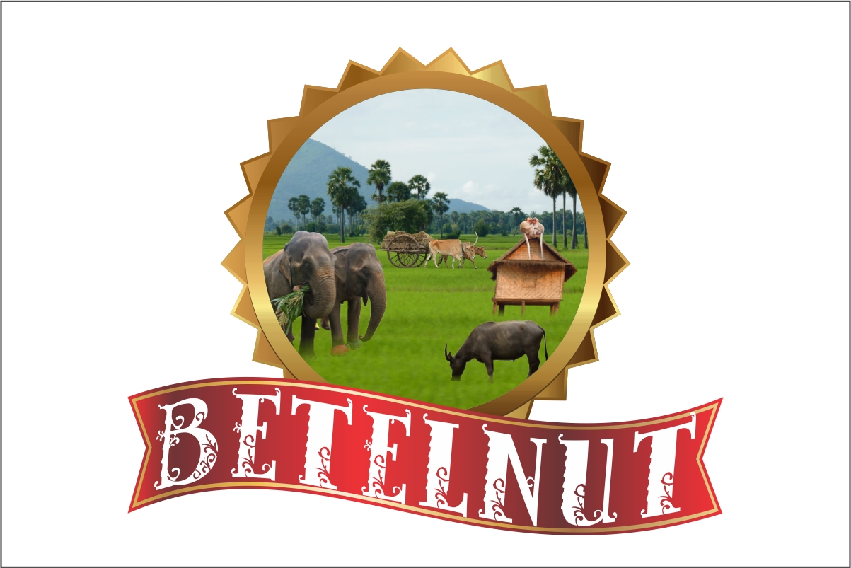 Diseño de Logo por Robert Macwan para Betelnut Tours | Diseño #2123008