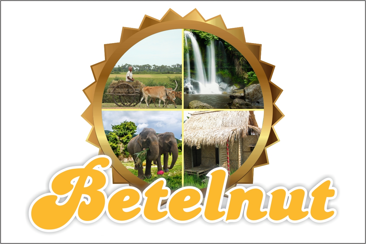 Diseño de Logo por Robert Macwan para Betelnut Tours | Diseño #2123009