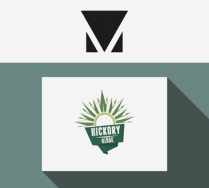Design de Logo par Madalin Vlad pour ce projet | Design #9591226