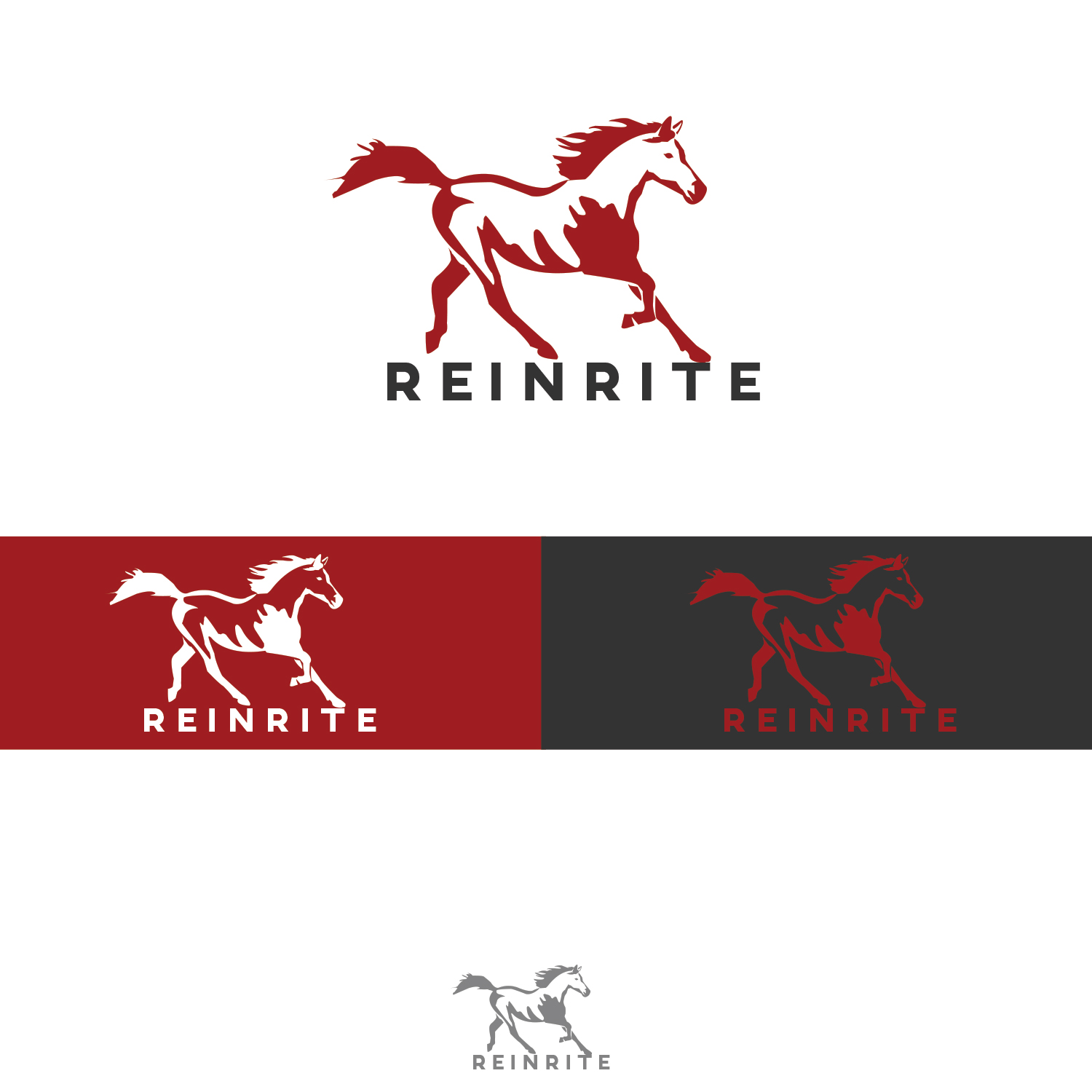 Logo Design by ADM Florin for ReinRite  | Design #9792599