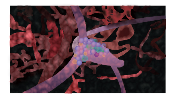 Graphic Design by roopaljain for NANOVA TECH INC. | Design #2101023