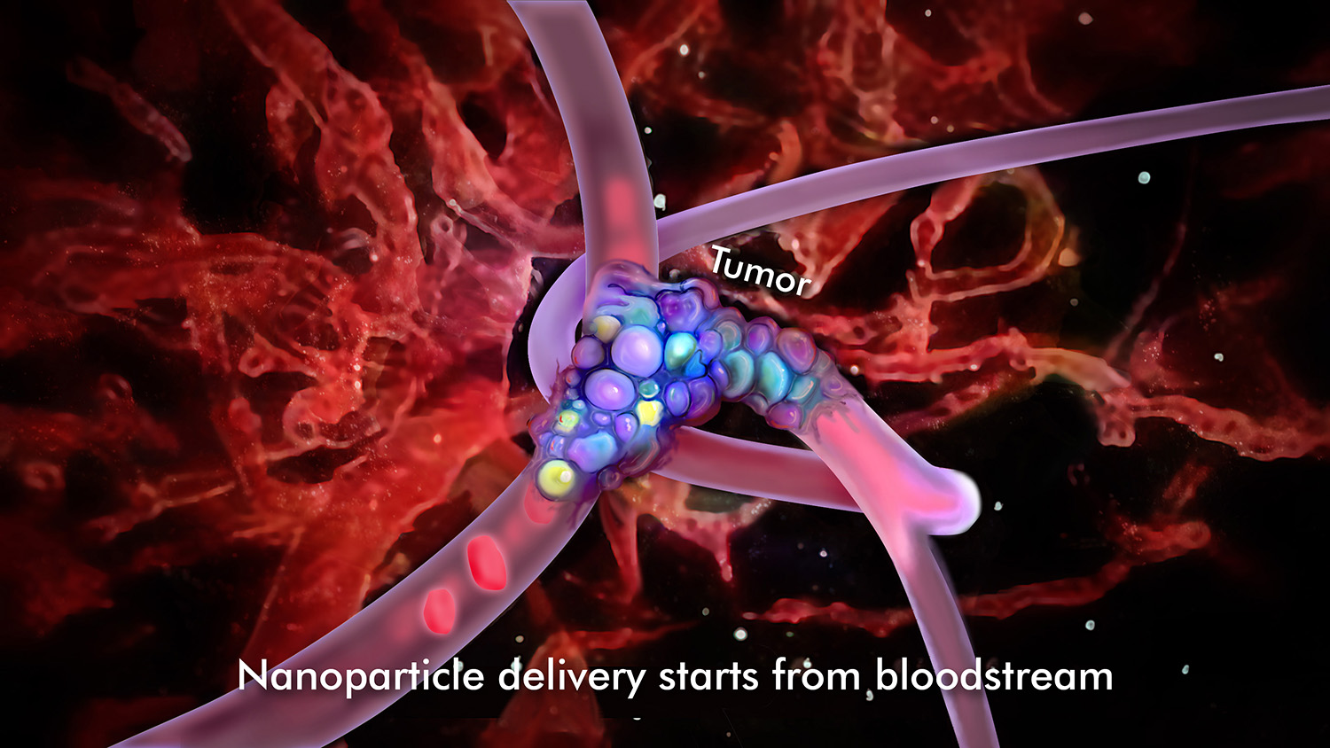 Graphic Design by Robert R. for NANOVA TECH INC. | Design #2098684