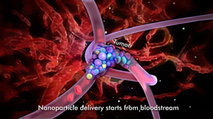 Graphic Design by Robert R. for NANOVA TECH INC. | Design: #2098684