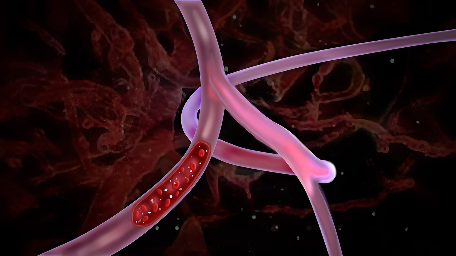 Graphic Design by Robert R. for NANOVA TECH INC. | Design #2098808