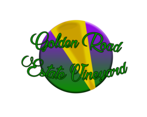 Logo Design by KaselGraphics