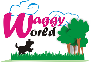 Logo Design by Diaa Hamdy