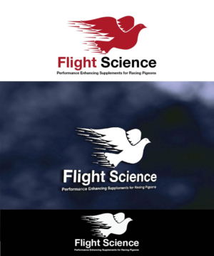Logo Design by joliau for this project | Design: #9849727