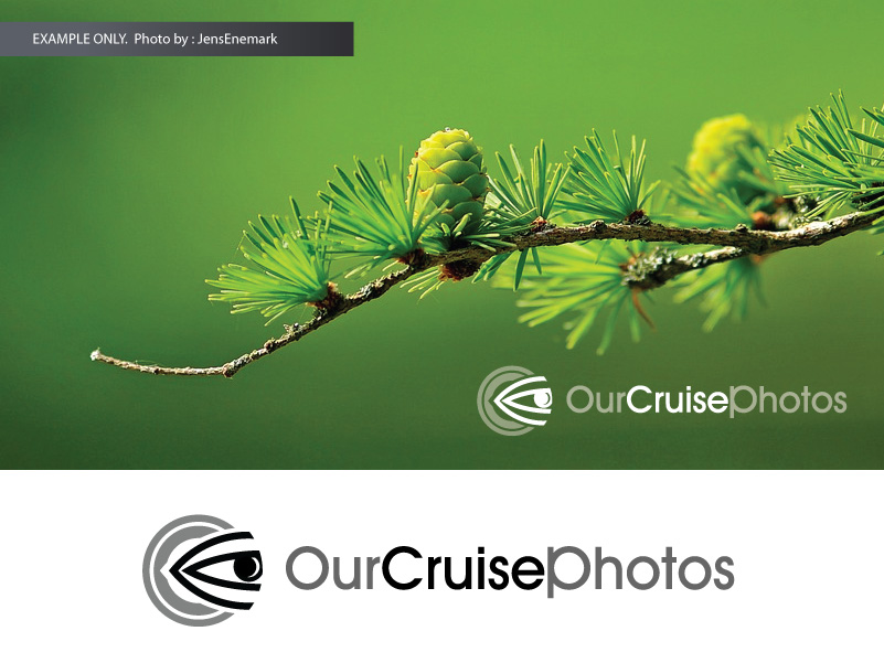 Logo Design by Jozbel for CoDe Websites | Design #2104897