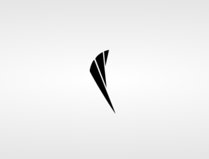 Icon Design by nandesign