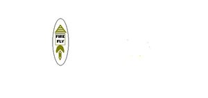 Logo Design by summeer