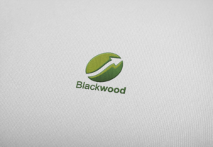 Diseño de Logo por damian para este proyecto | Diseño: #9678147