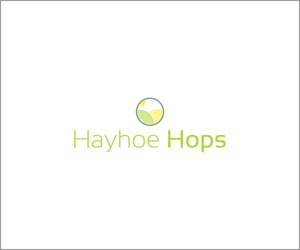 Logo Design by Antivisual
