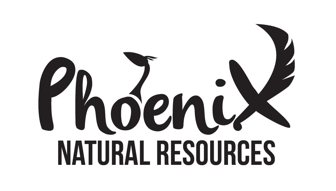 Logo Design by RAFX DESIGN for phoenix natural resources | Design #9742452