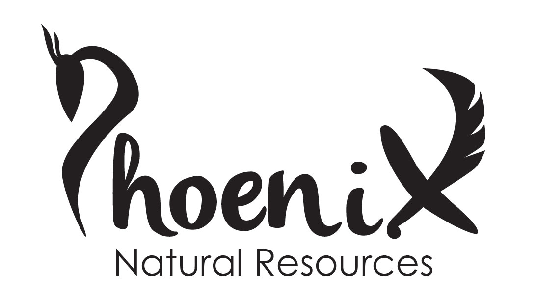 Logo Design by RAFX DESIGN for phoenix natural resources | Design #9742471
