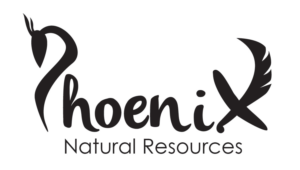 Logo Design by RAFX DESIGN for phoenix natural resources | Design #9742471