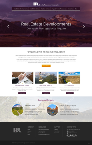 Web Design by pb for Alpine Internet | Design: #9700947