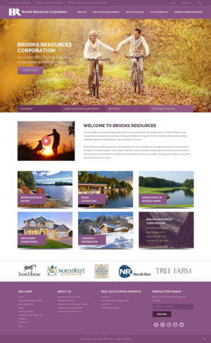 Web Design by pb for Alpine Internet | Design: #9784533