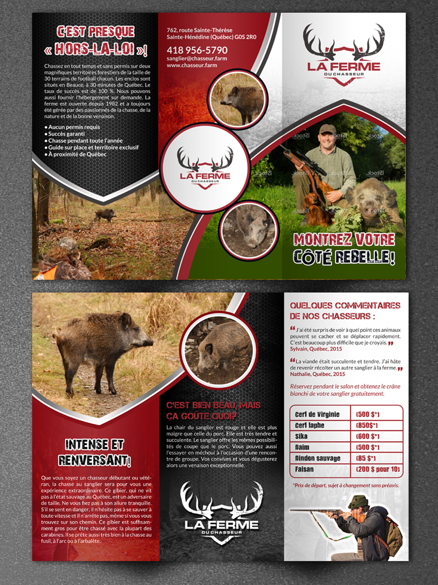 Diseño de Flyer por debdesign para este proyecto | Diseño #9830365