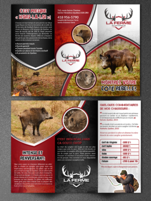 Diseño de Flyer por debdesign para este proyecto | Diseño #9830366