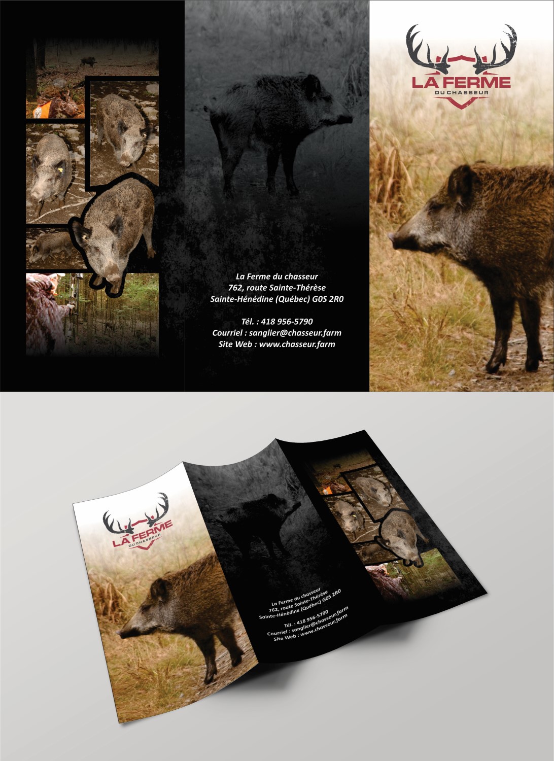 Diseño de Flyer por DG para este proyecto | Diseño #9806731