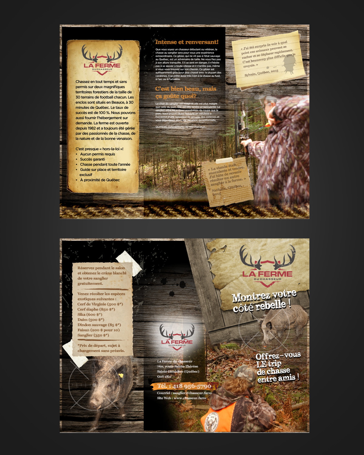 Diseño de Flyer por pivotaldesign.biz para este proyecto | Diseño #9804993