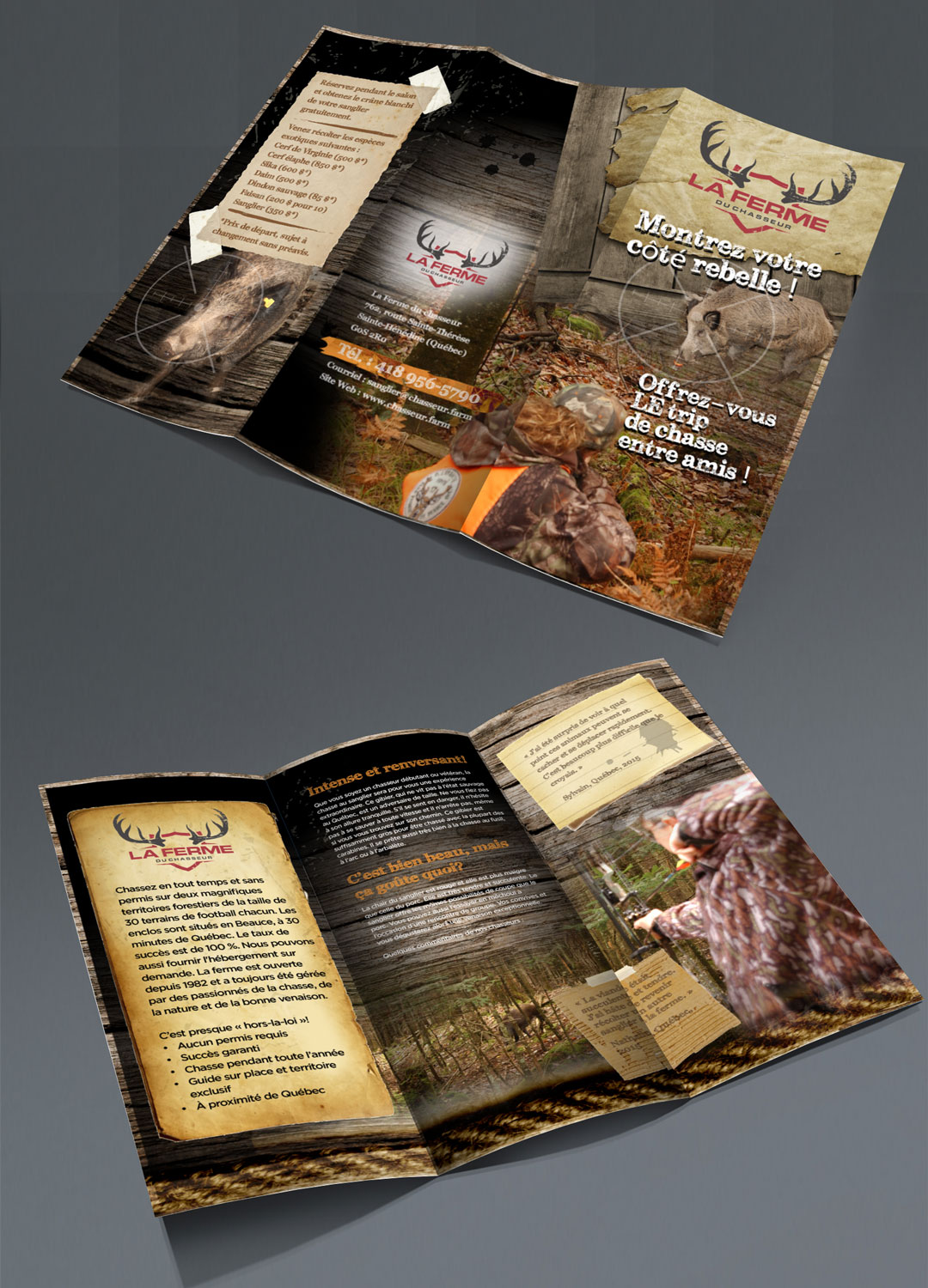 Diseño de Flyer por pivotaldesign.biz para este proyecto | Diseño #9804994