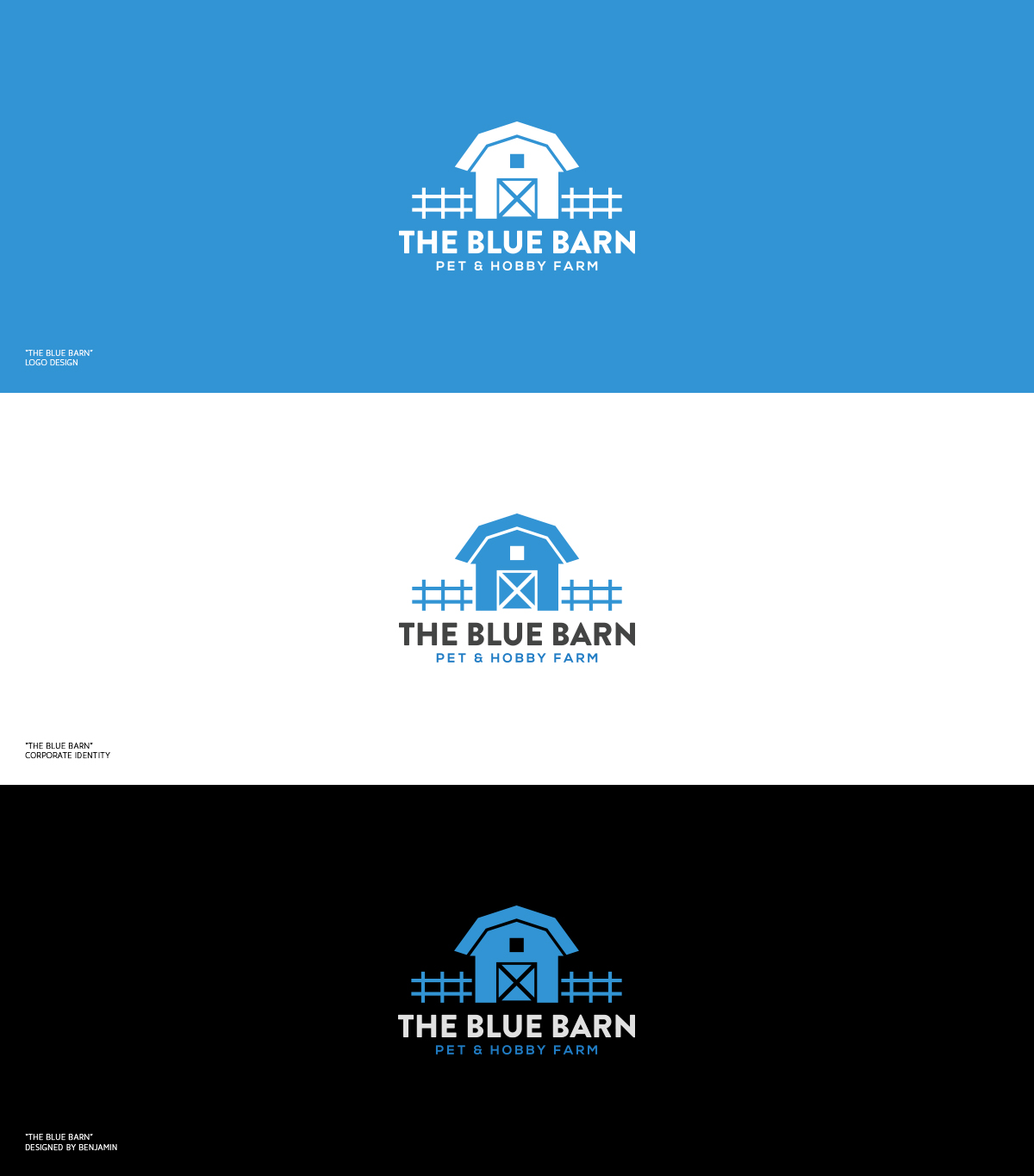 Logo-Design von Benjamin für dieses Projekt | Design #9781358