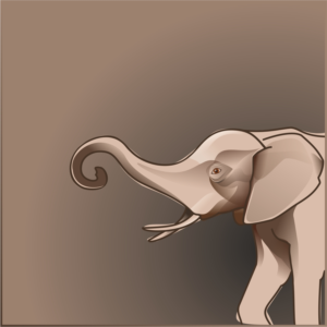Illustration Design by exit