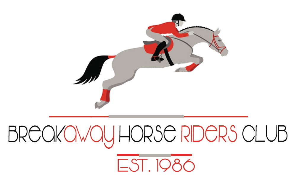 Diseño de Logo por hanzlaramey04 para Peachball Delights | Diseño #10177888