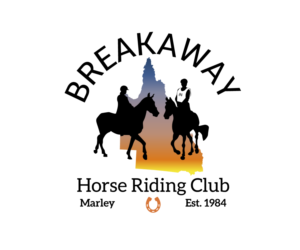 Logo Design by Aaron Kyle for Peachball Delights | Design: #10252568